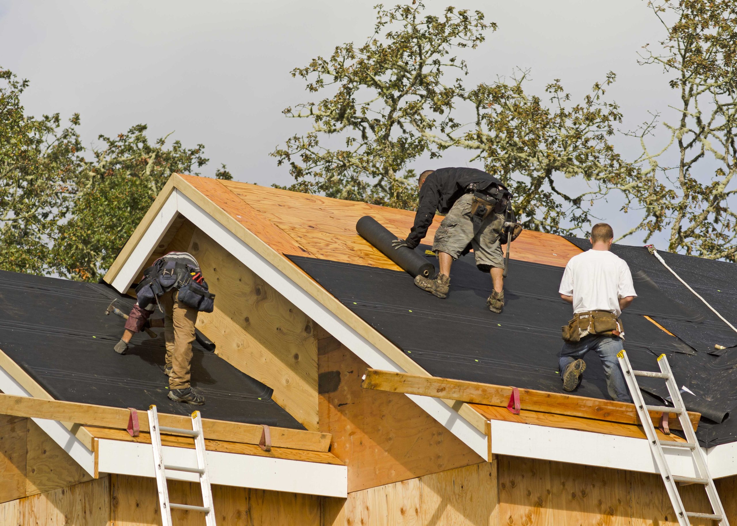 Professional roofers in Brandon